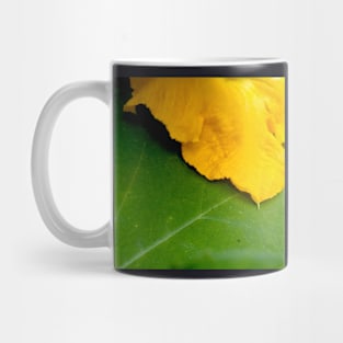 Pumpkin Blossom & Foliage Mug